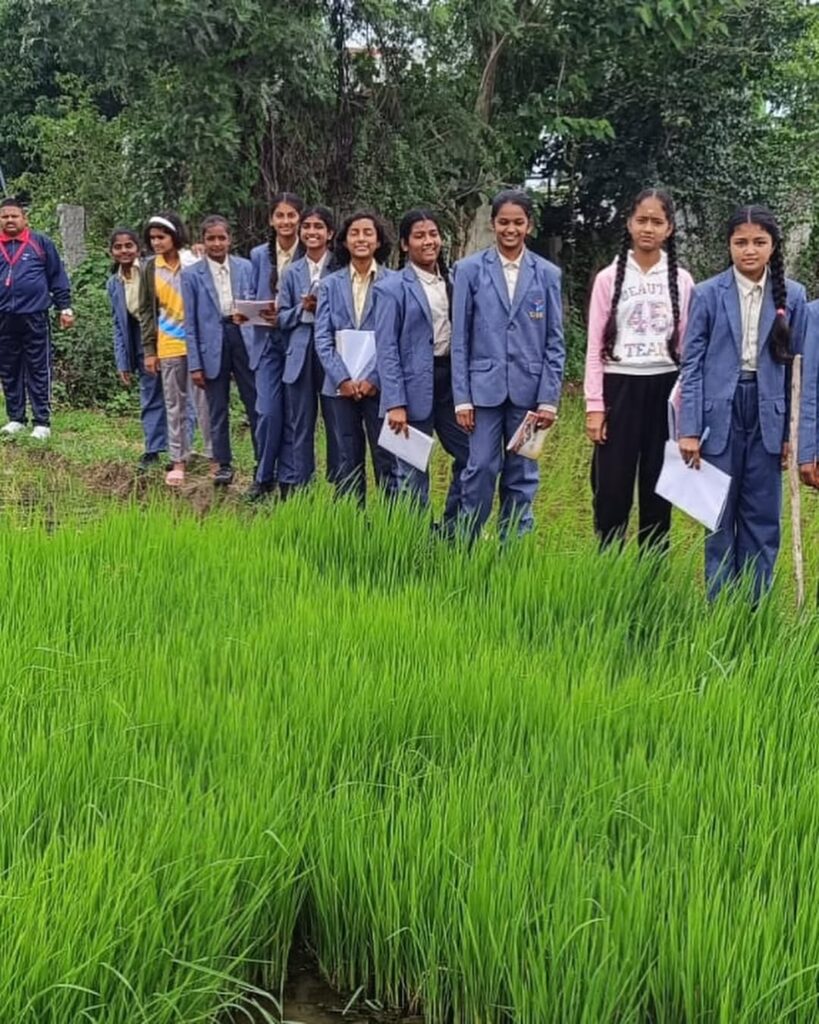 Exploring Paddy Cultivation: Grade-VIII Field Trip at TJIS