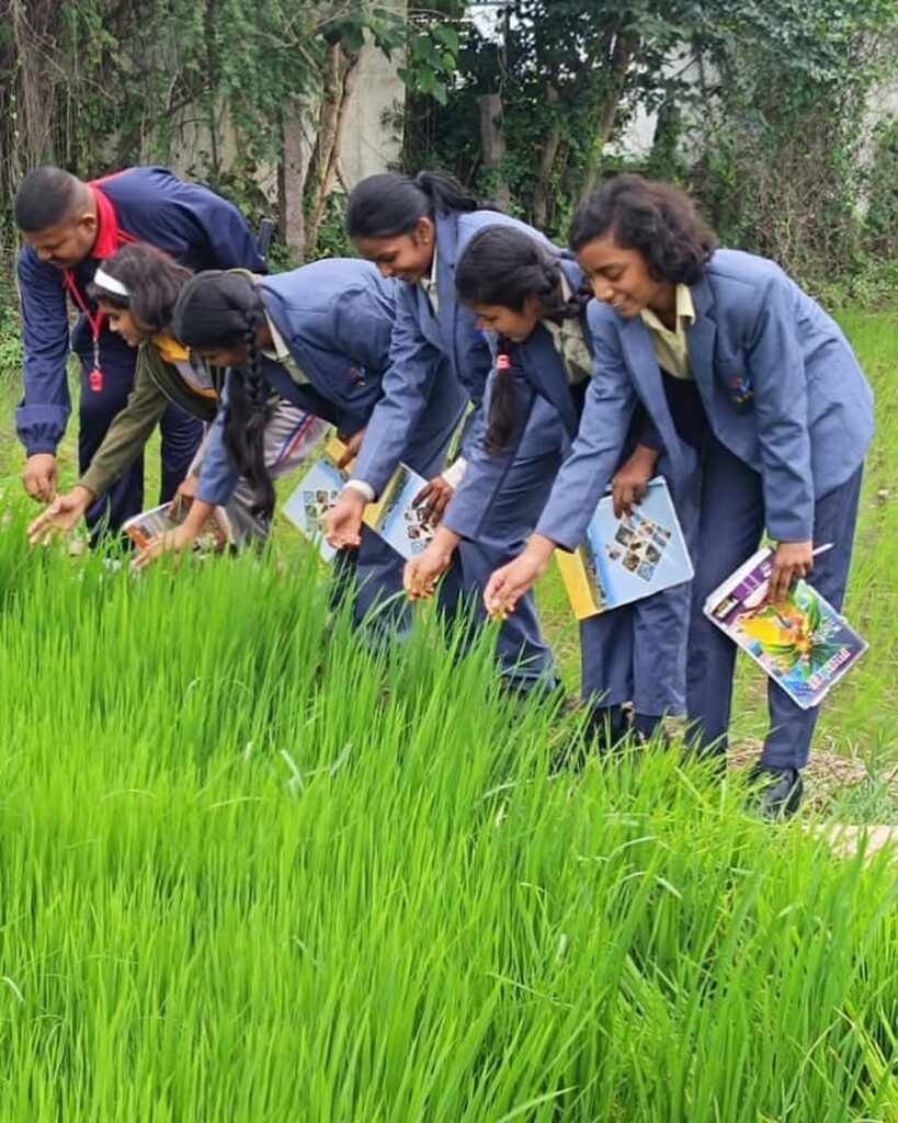 Exploring Paddy Cultivation: Grade-VIII Field Trip at TJIS