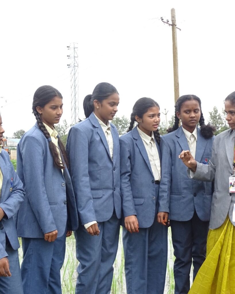 Exploring Paddy Cultivation: Grade-VIII Field Trip at TJIS