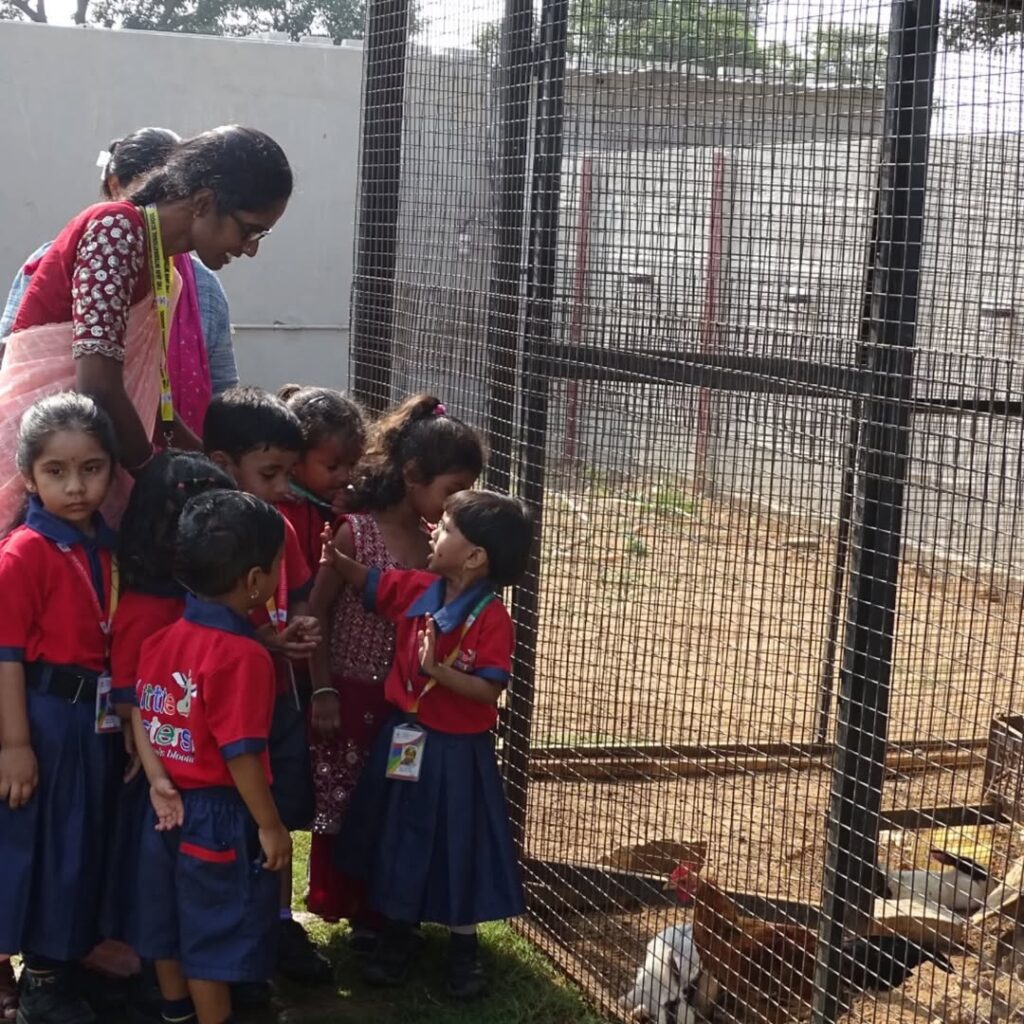 Connecting with Nature: TJIS Park Day for Young Minds