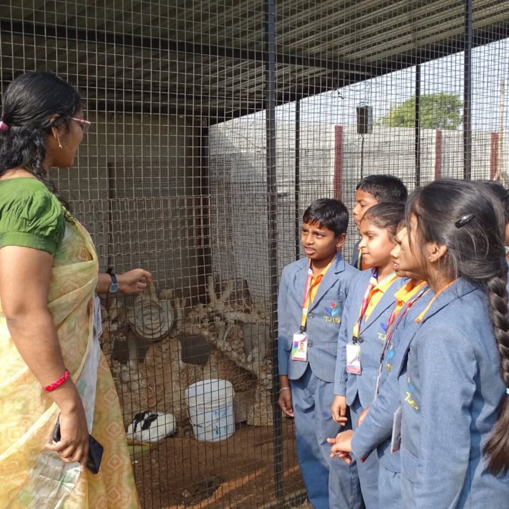 Connecting with Nature: TJIS Park Day for Young Minds