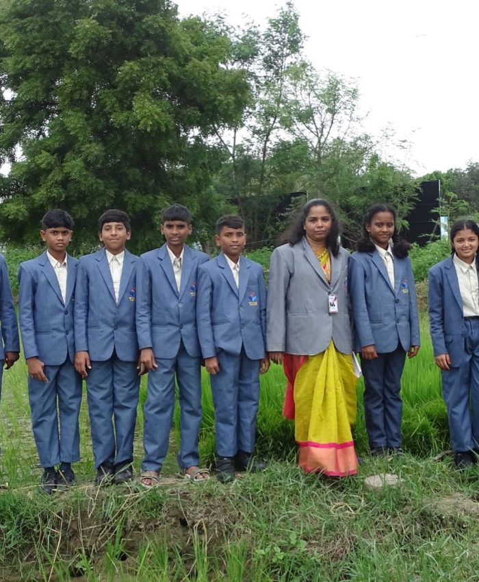 Exploring Paddy Cultivation: Grade-VIII Field Trip at TJIS