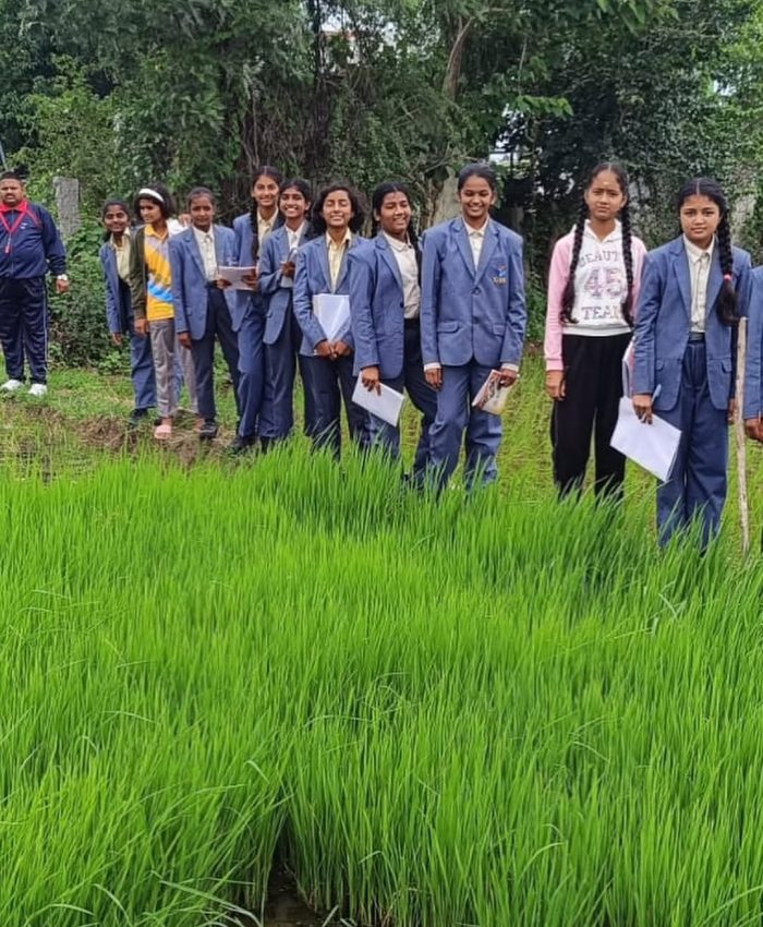 Exploring Paddy Cultivation: Grade-VIII Field Trip at TJIS